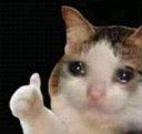 sadcatthumbsup